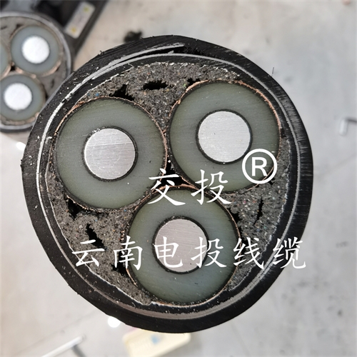 www.jinyijituan.com