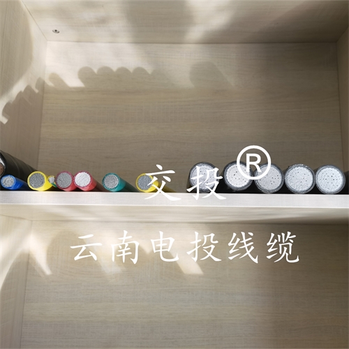 www.jinyijituan.com