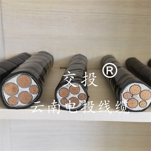 www.jinyijituan.com