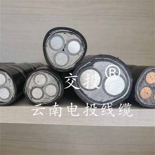 www.jinyijituan.com