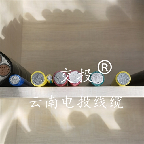 www.jinyijituan.com