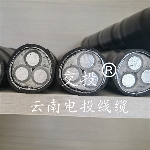 www.jinyijituan.com