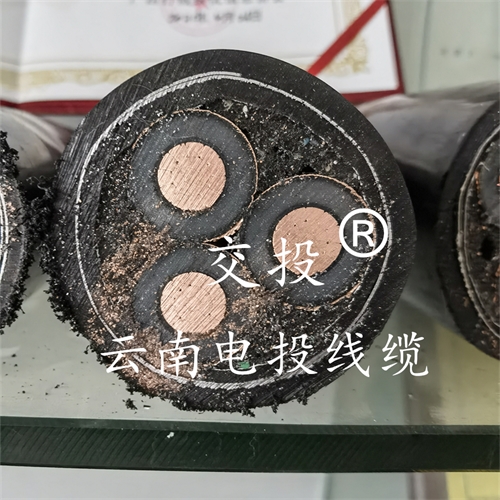 www.jinyijituan.com