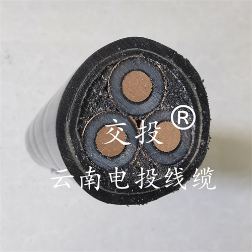 www.jinyijituan.com