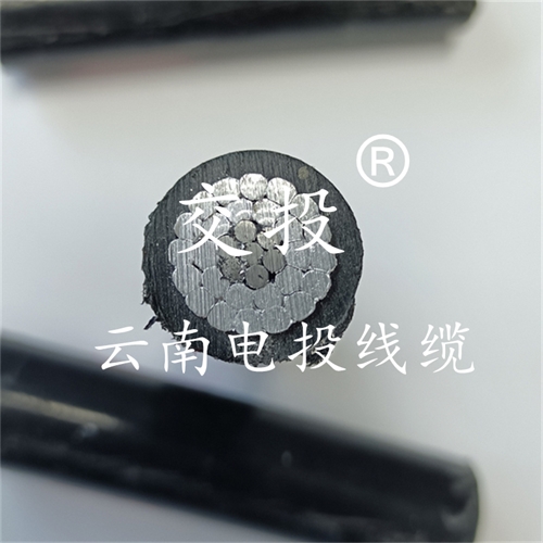www.jinyijituan.com