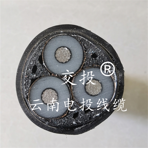 www.jinyijituan.com