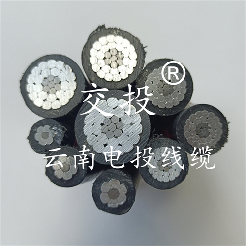 www.jinyijituan.com