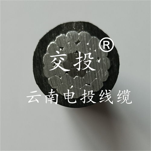 www.jinyijituan.com