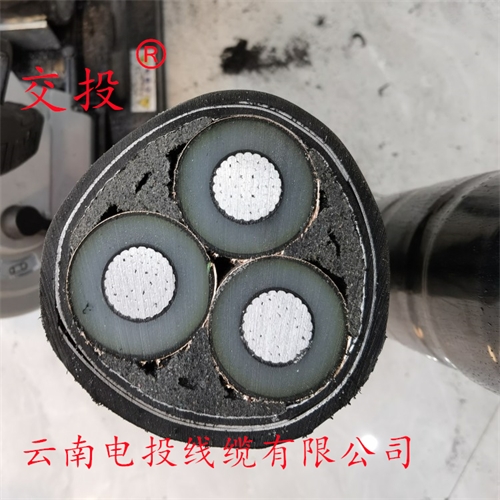 www.jinyijituan.com