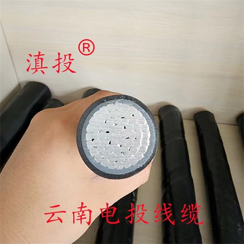 www.jinyijituan.com