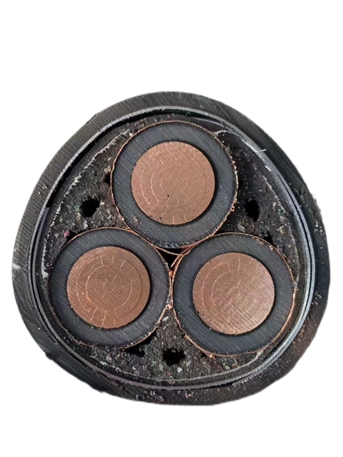www.jinyijituan.com