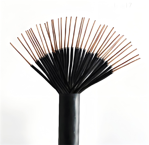 www.jinyijituan.com