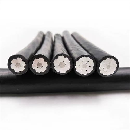 www.jinyijituan.com